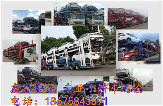 山東陽谷縣 山東陽谷縣